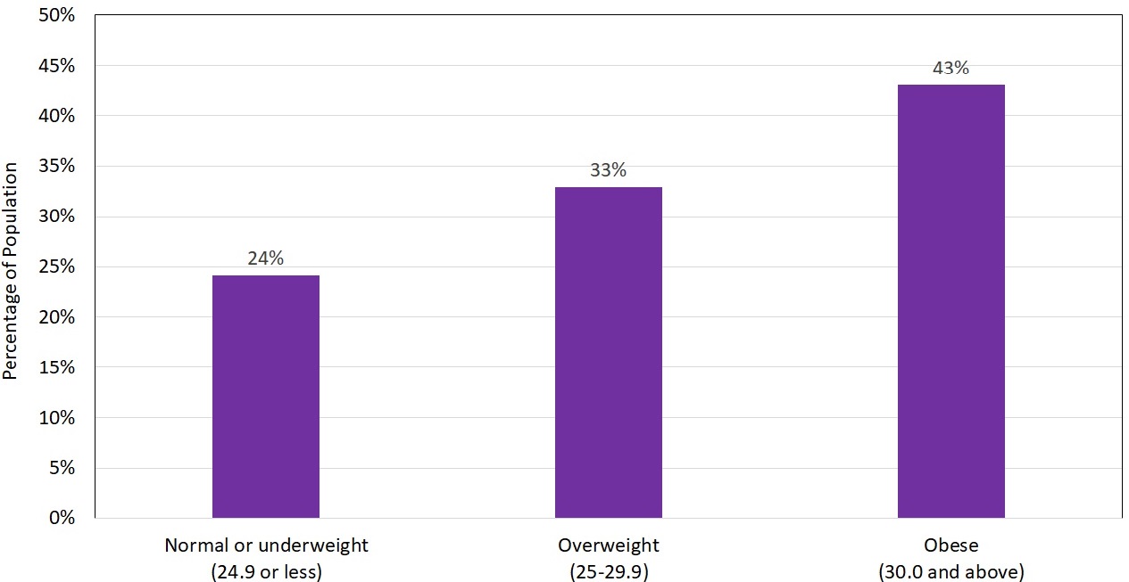 BMI Women Chart